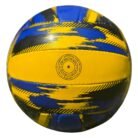 TRAINER VOLLEYBALL (3)